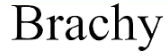 Brachy coupon code