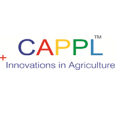 Cappl coupon code