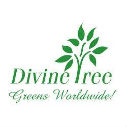 Divine Tree coupon code
