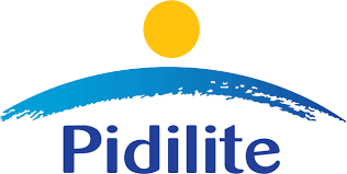 Pidilite coupon code