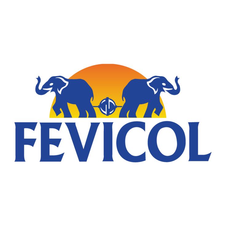 Fevicol coupon code