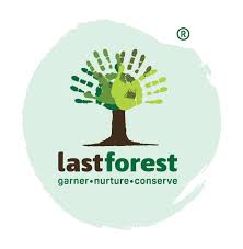Last Forest coupon code