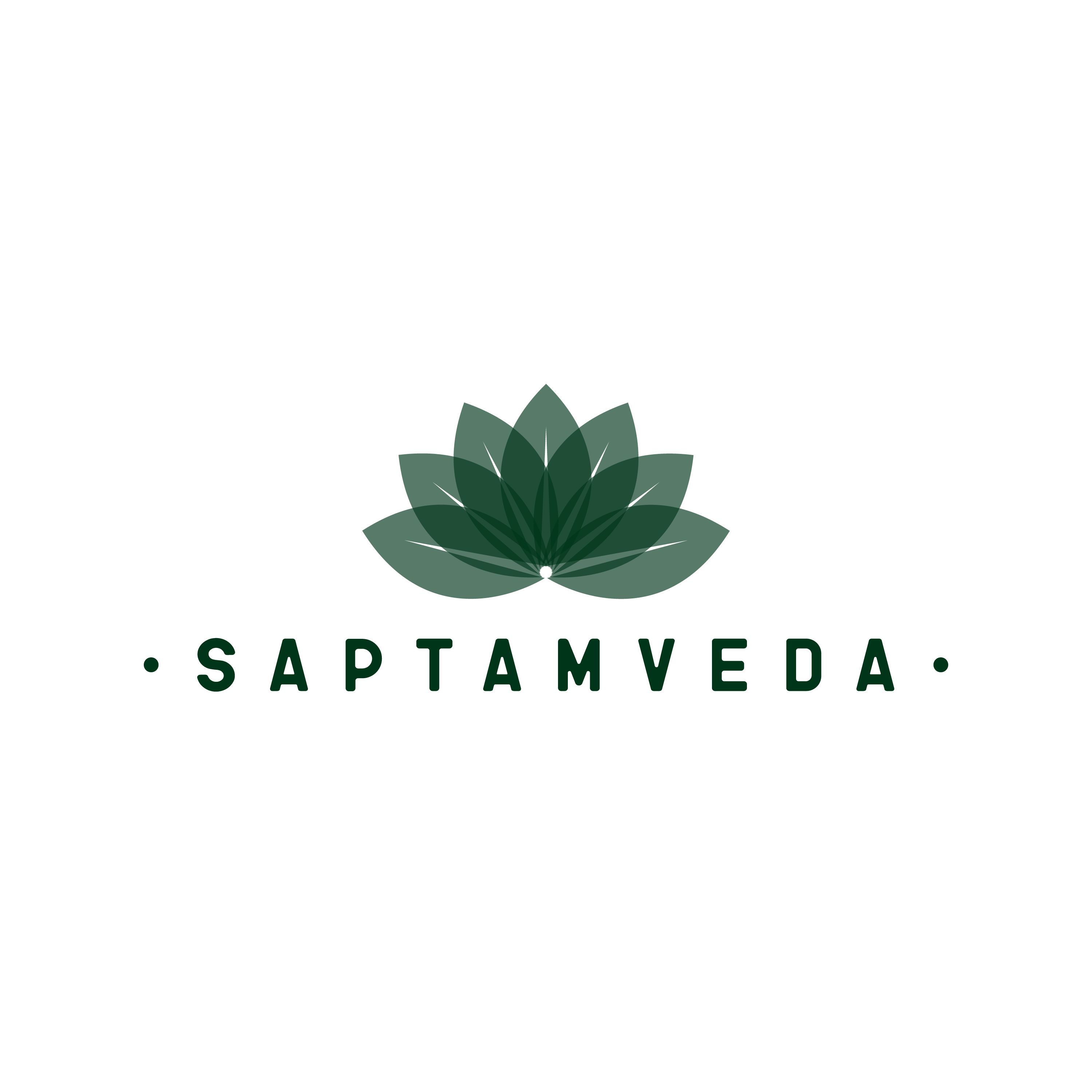 Saptamveda coupon code