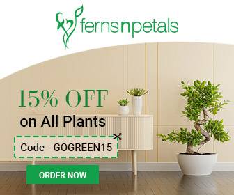 FNP coupon code