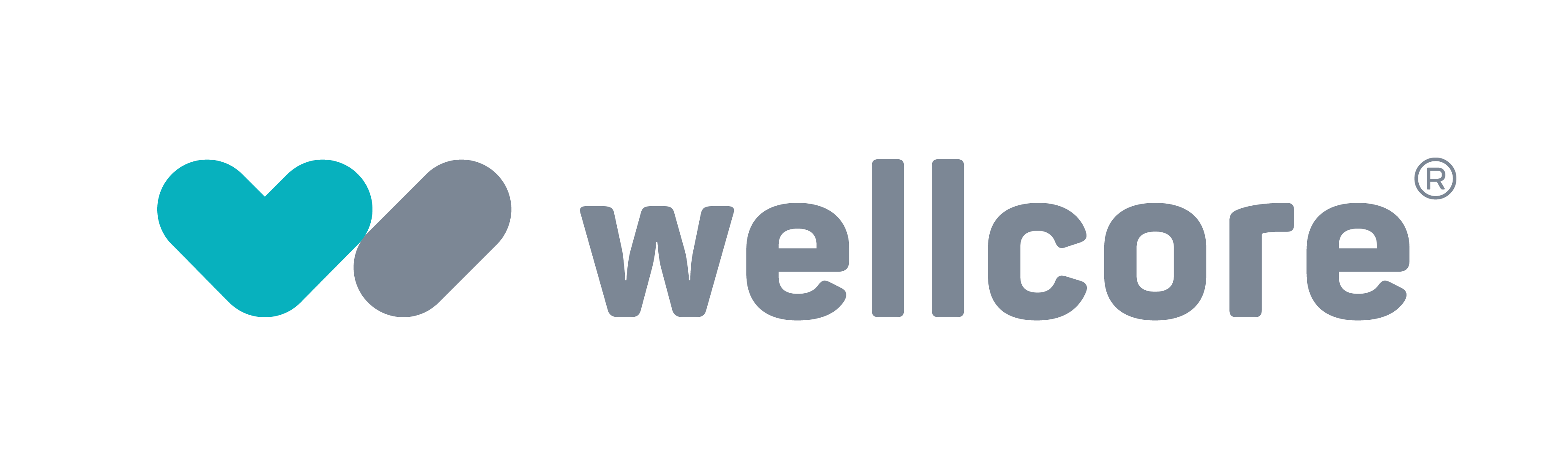 Wellcore coupon code